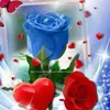 fadeahassan815