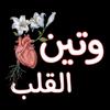 dilna__mall