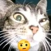ehhhhsi3
