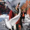 xanh_52hz