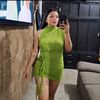 vanella017