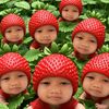 liliipaliiii