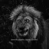 vinyromares_