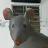 vzan001