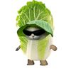 navinpp_