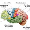 mouhamadouloulamine