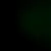 lunas_p
