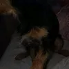 mica._.aaa