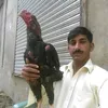 malikasghar0007