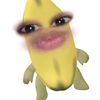 elsaaa_nr