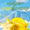 heng4209