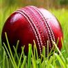 cricket_spin20