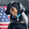 vicki.v23474