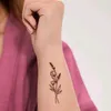 sinabahrami.7