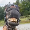 liviaprivata1