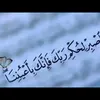 user6103291921520