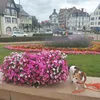 paradies1234