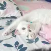 chatchadaporn107