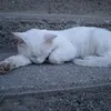 wilvy00