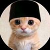 user_bisa