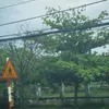 phuk.tran