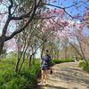 huongquynh56789