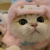 tippppp_27