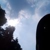 lydyya_290