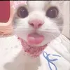 krishazn15