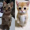 ooopsiedoopie