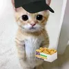 noobie_knows27