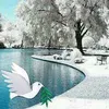 mahmoudbounwa2