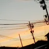 yamadaselina