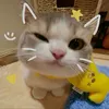 hilu_hehe