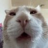 gkkdkfkr