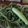 ciullamariaconcet