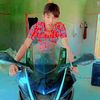 daw.thidar313