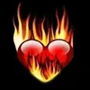 user92832716764
