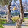 karamed77_1036
