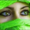 noorshah2237