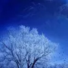 dyp04v76z6qe