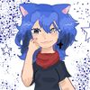 cat_xd1243