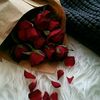 m.ymy8