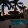 samuelsaray443