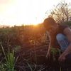 feriansyah803