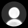 haseeb_481
