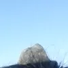 niz626