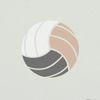 .volleyball18