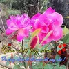 user2a893ogg2q