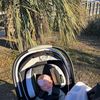 charlotterebornnursery